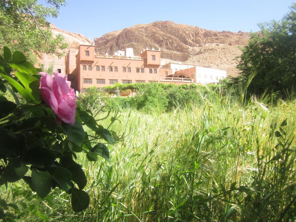 Hotel Awayou بو درارار الغرفة الصورة